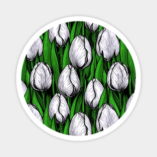 White tulips with green leaves Magnet